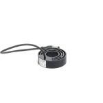 Ring lighting with switchable constant light BE-R30-G0-K-BS-DIF  